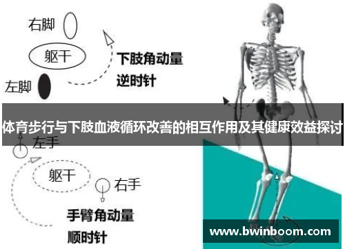 体育步行与下肢血液循环改善的相互作用及其健康效益探讨