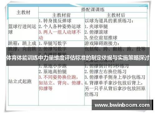 体育体能训练中力量维度评估标准的制定依据与实施策略探讨