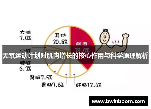 无氧运动计划对肌肉增长的核心作用与科学原理解析