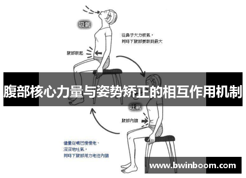 腹部核心力量与姿势矫正的相互作用机制